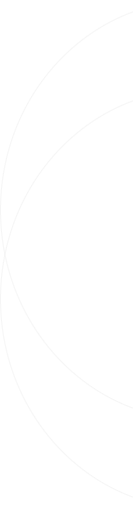 The Palm Tree Media Hub-footer-line-image