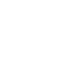The Palm Tree Media Hub-footer-icon-image